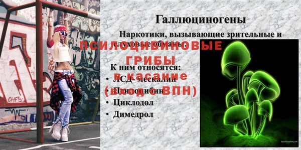 СК Абдулино