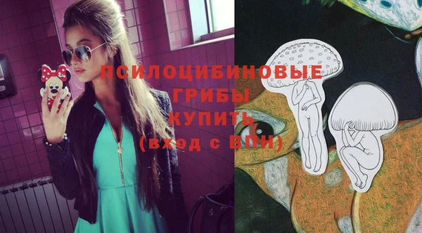 СК Абдулино