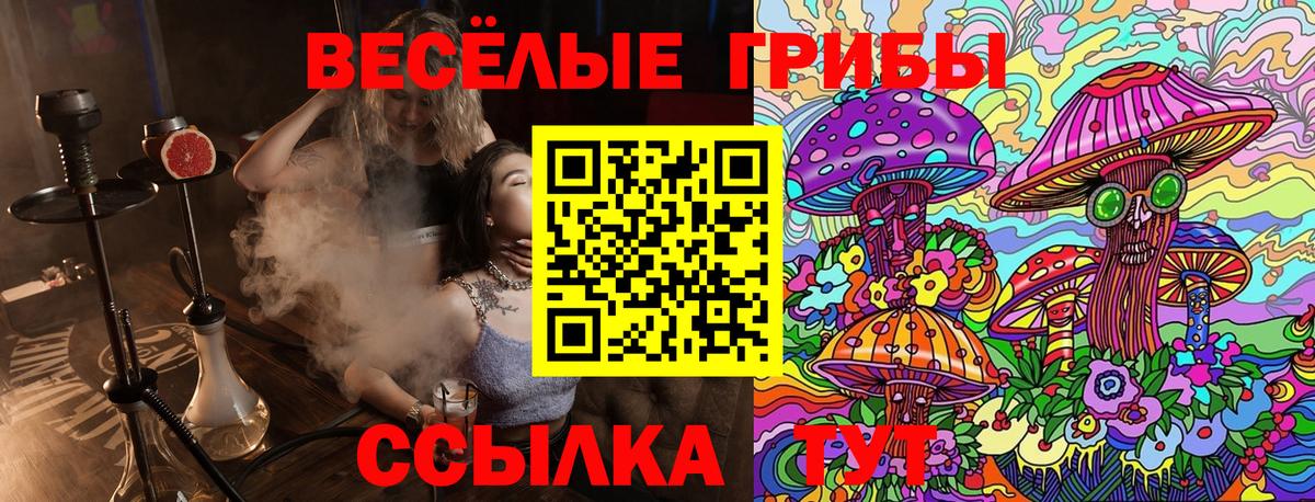 Энгельс  Псилоцибиновые грибы MAGIC MUSHROOMS  Вход с VPN  Псилоцибиновые грибы GOLDEN TEACHER 